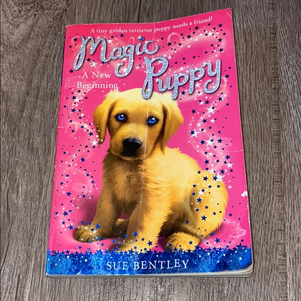 7 Chapter Books - Picture 5 of 8